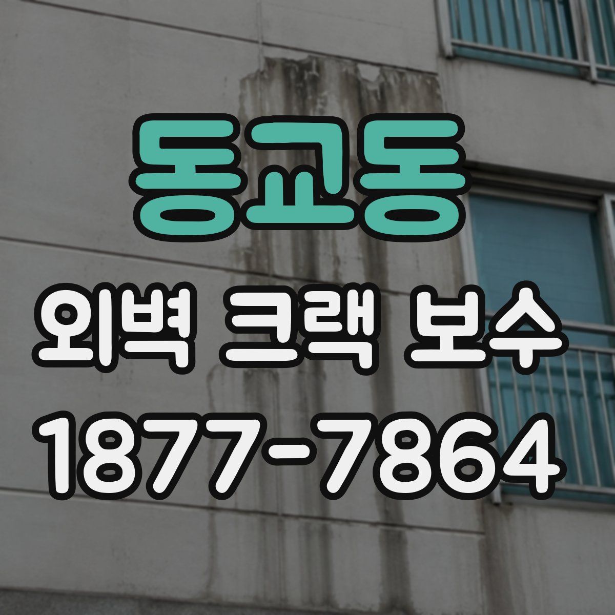 동교동 외벽 크랙 보수