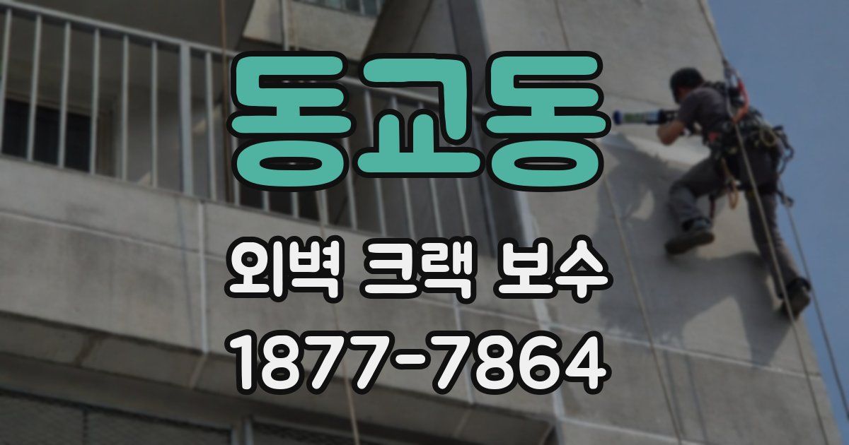 동교동 외벽 크랙 보수