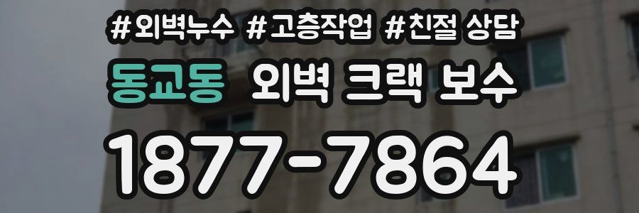 동교동 외벽 크랙 보수