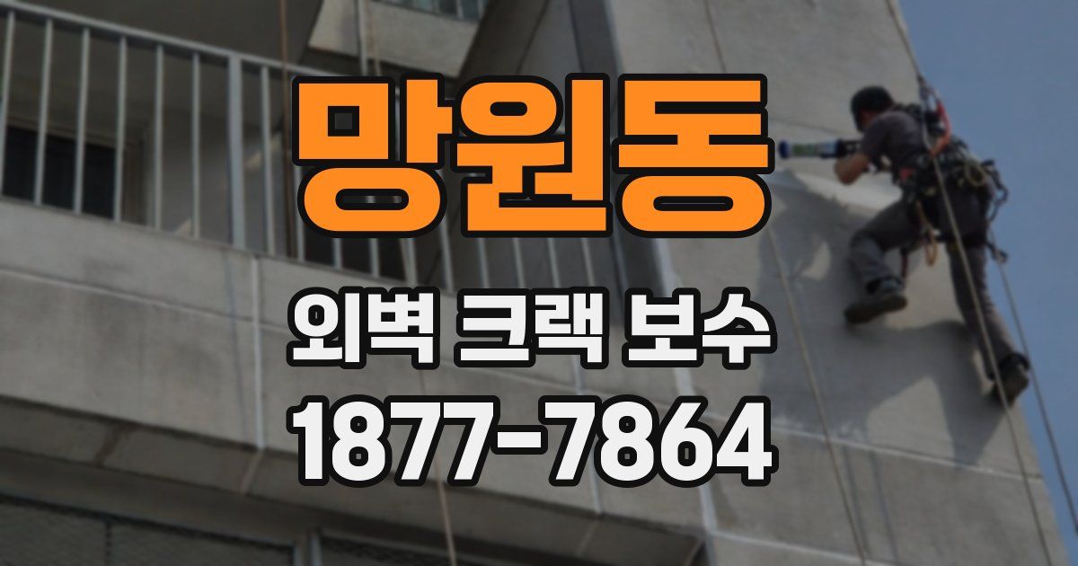 망원동 외벽 크랙 보수