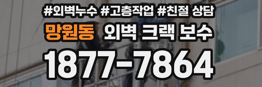망원동 외벽 크랙 보수