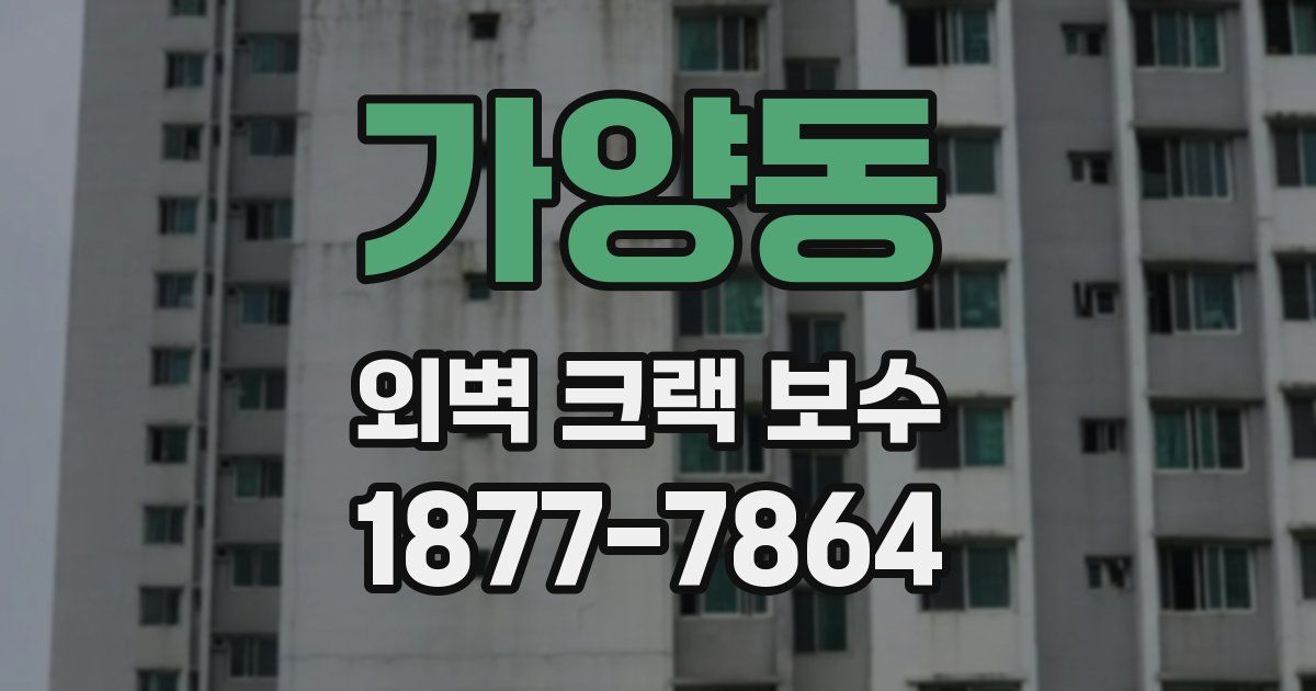 가양동 외벽 크랙 보수