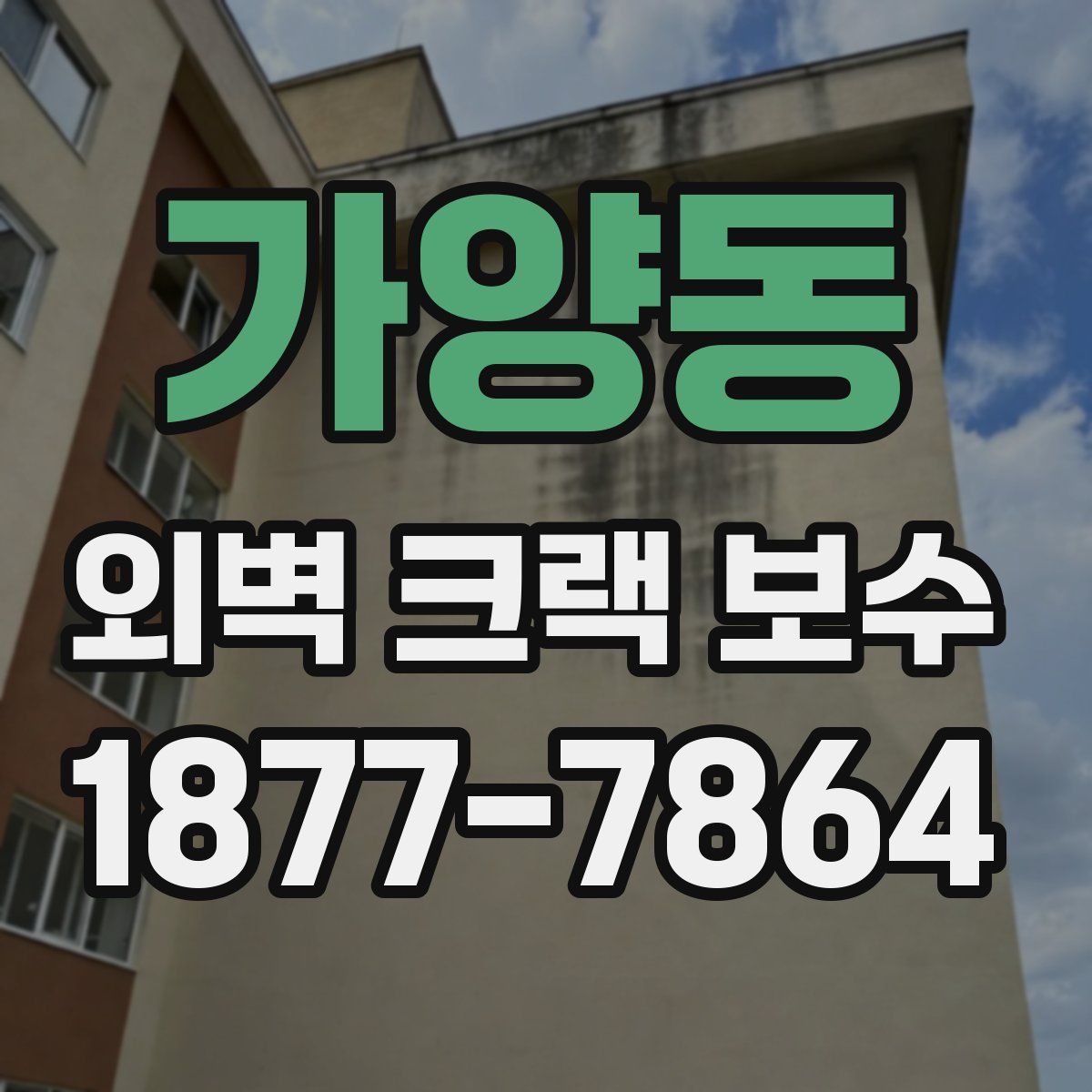 가양동 외벽 크랙 보수