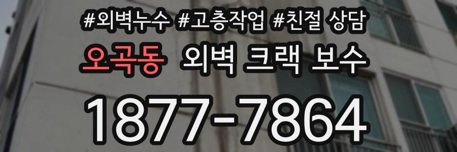 오곡동 외벽 크랙 보수