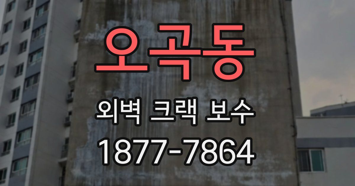오곡동 외벽 크랙 보수