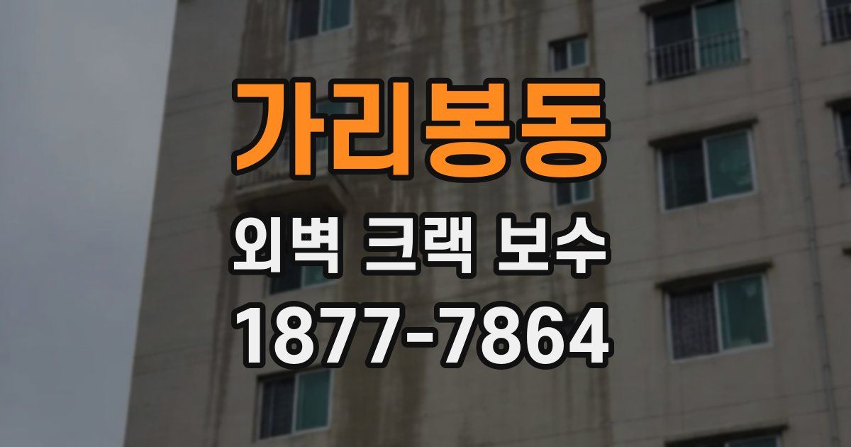 가리봉동 외벽 크랙 보수
