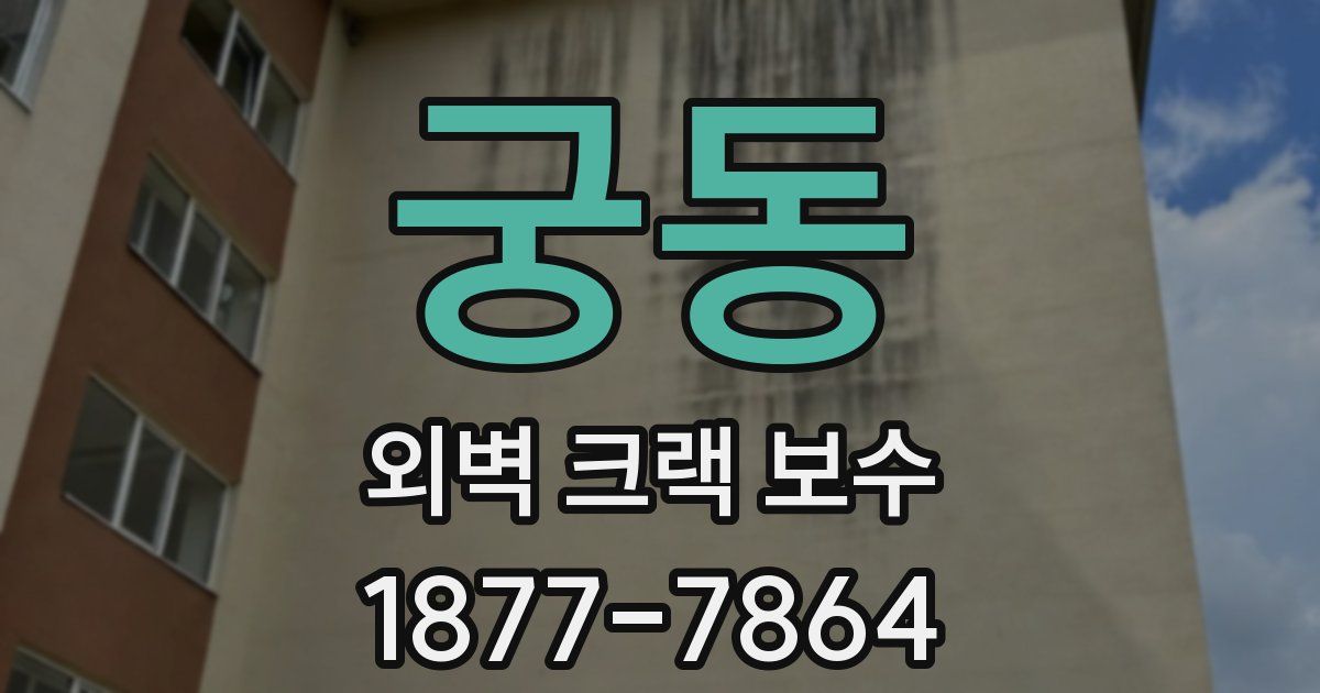 궁동 외벽 크랙 보수