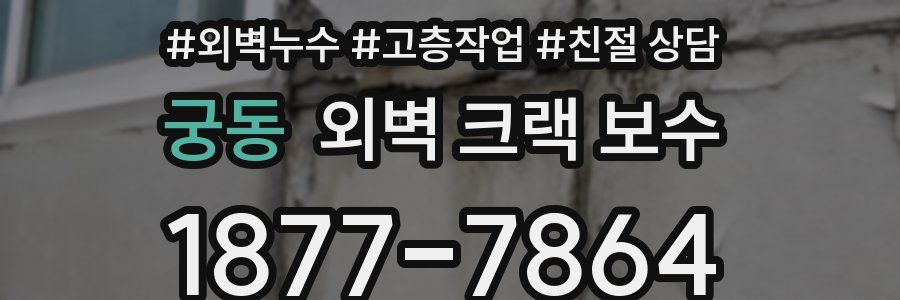 궁동 외벽 크랙 보수