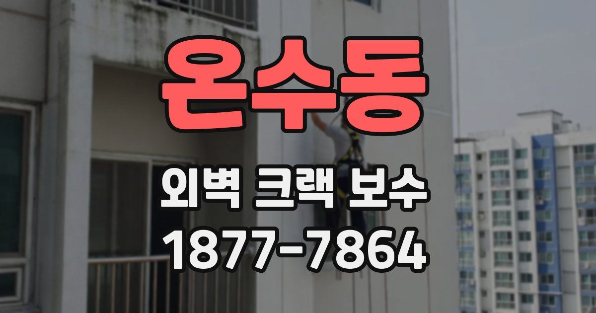 온수동 외벽 크랙 보수