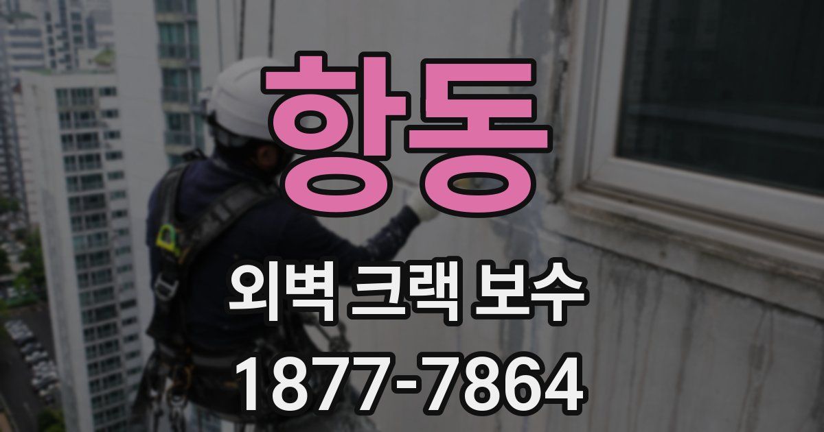 항동 외벽 크랙 보수