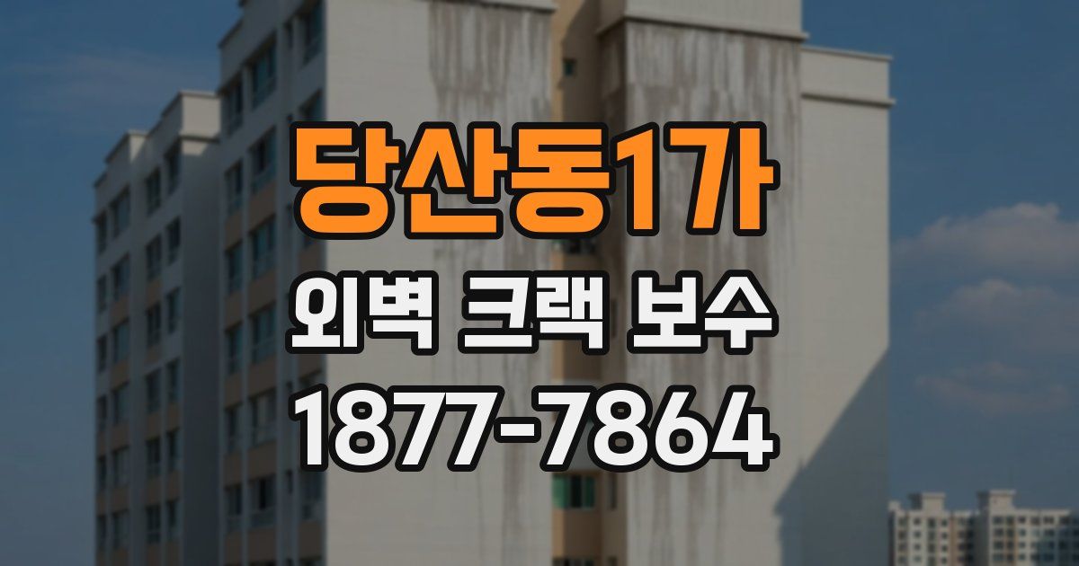 당산동1가 외벽 크랙 보수