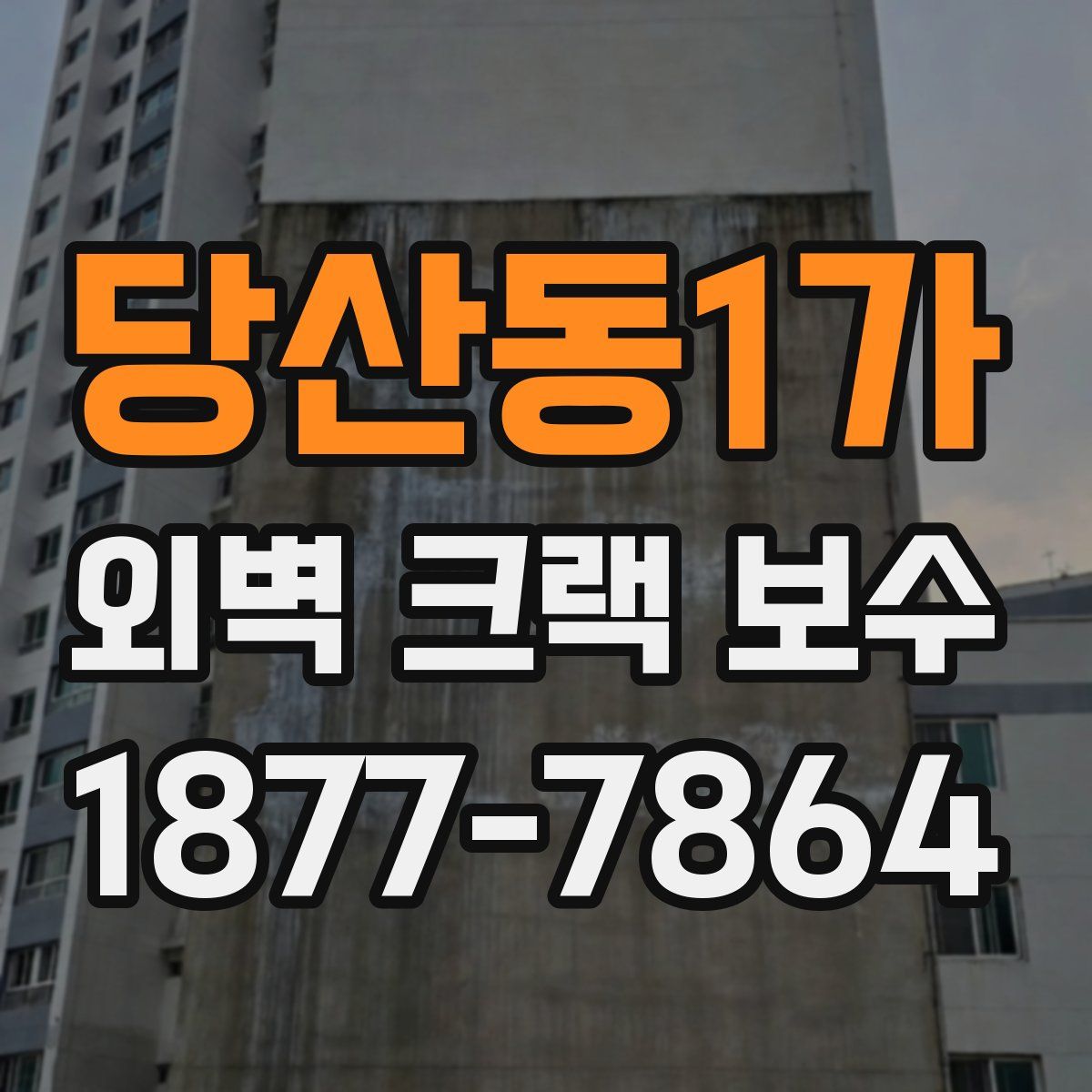 당산동1가 외벽 크랙 보수