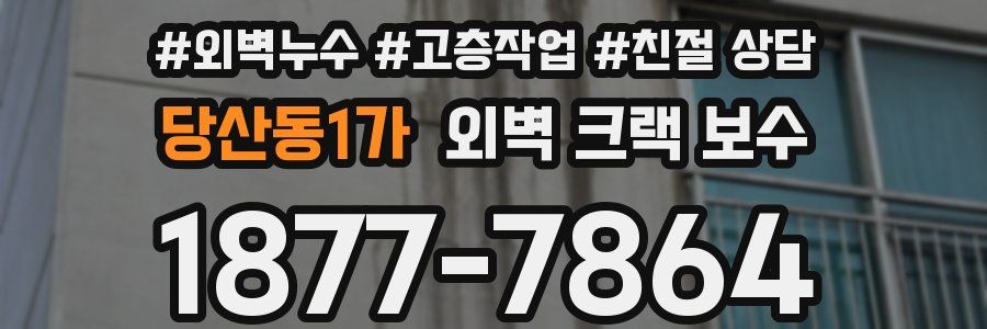 당산동1가 외벽 크랙 보수