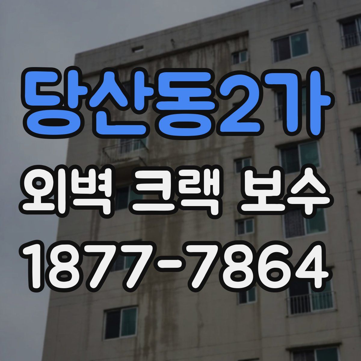 당산동2가 외벽 크랙 보수