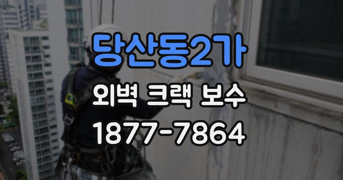 당산동2가 외벽 크랙 보수