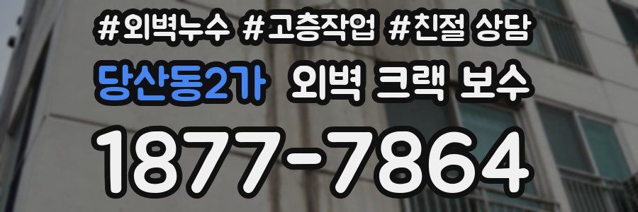 당산동2가 외벽 크랙 보수