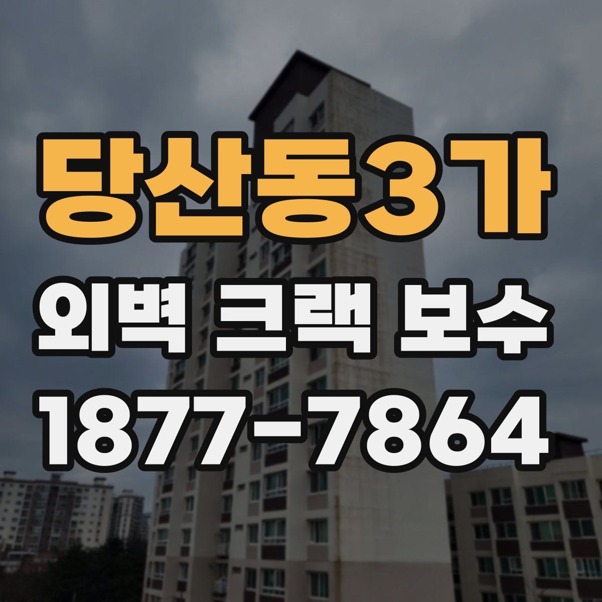 당산동3가 외벽 크랙 보수