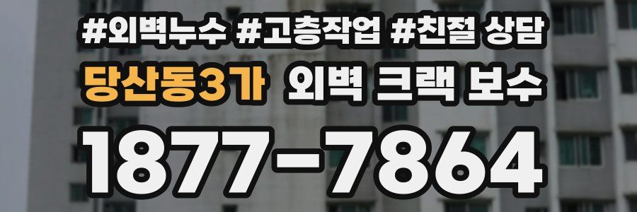 당산동3가 외벽 크랙 보수