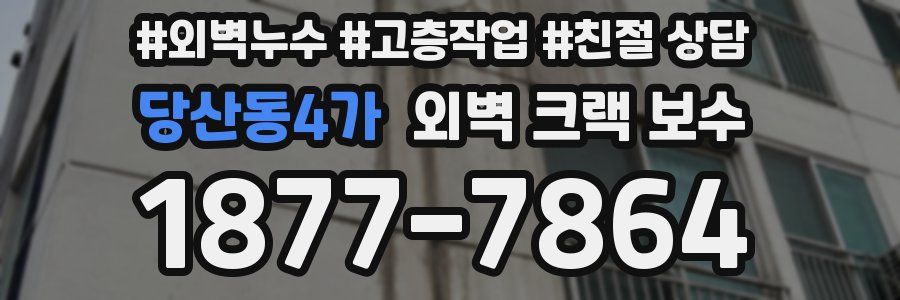 당산동4가 외벽 크랙 보수