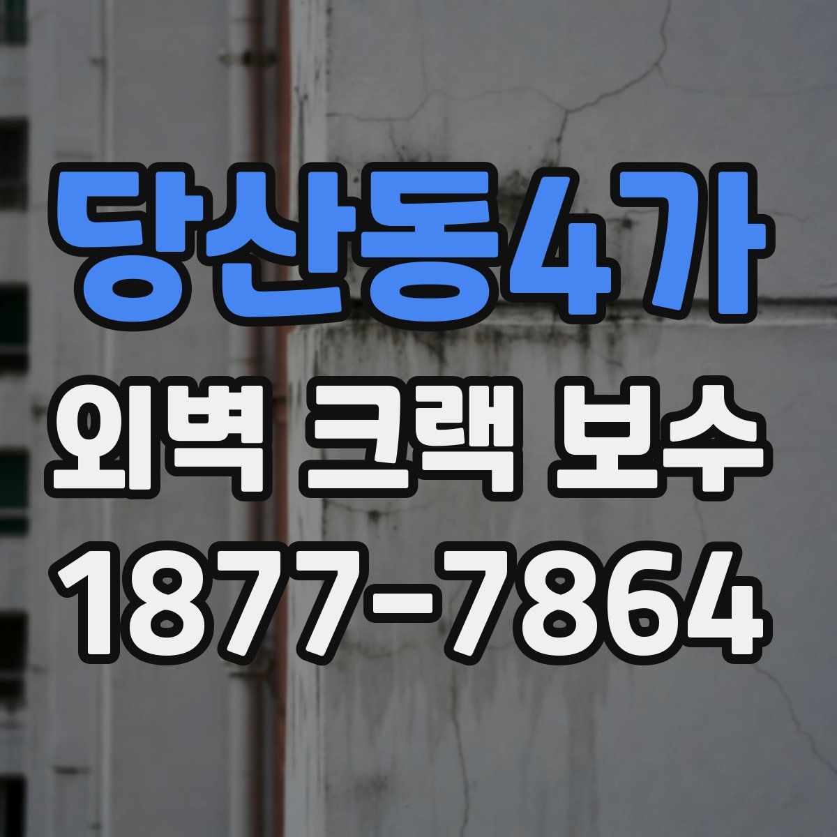당산동4가 외벽 크랙 보수
