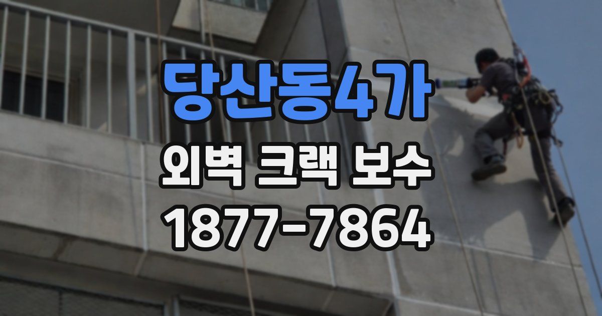 당산동4가 외벽 크랙 보수