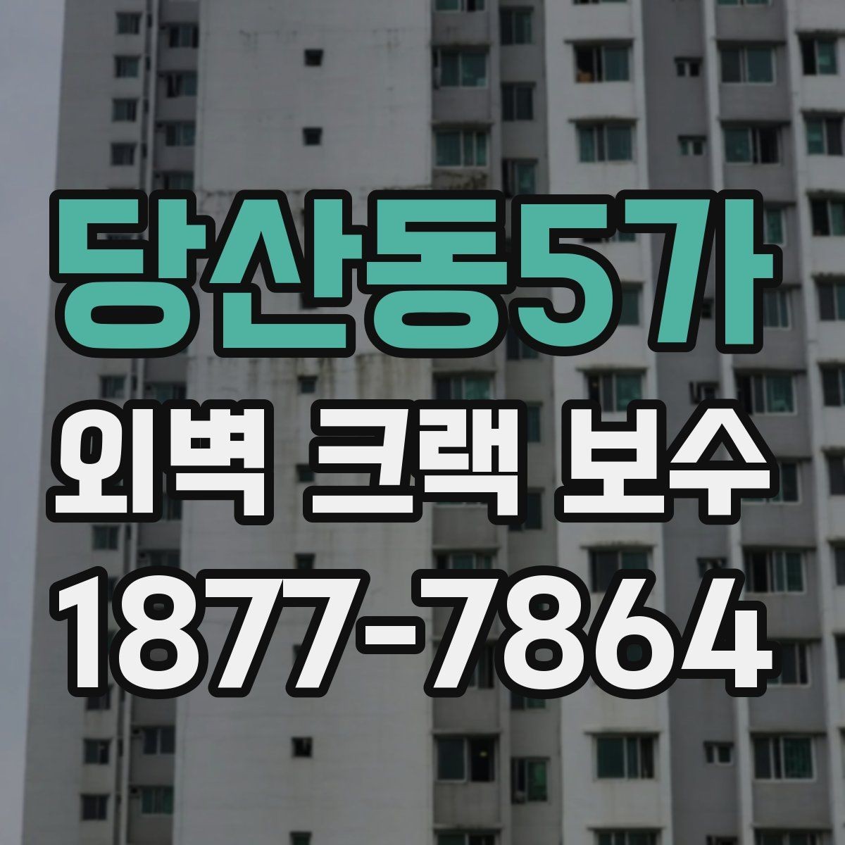 당산동5가 외벽 크랙 보수 진행 순서와 작업 과정
