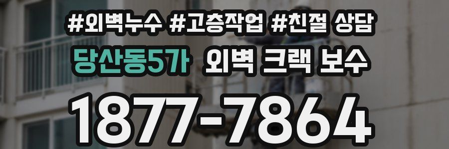 당산동5가 외벽 크랙 보수