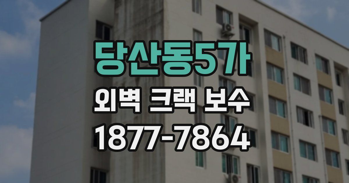 당산동5가 외벽 크랙 보수