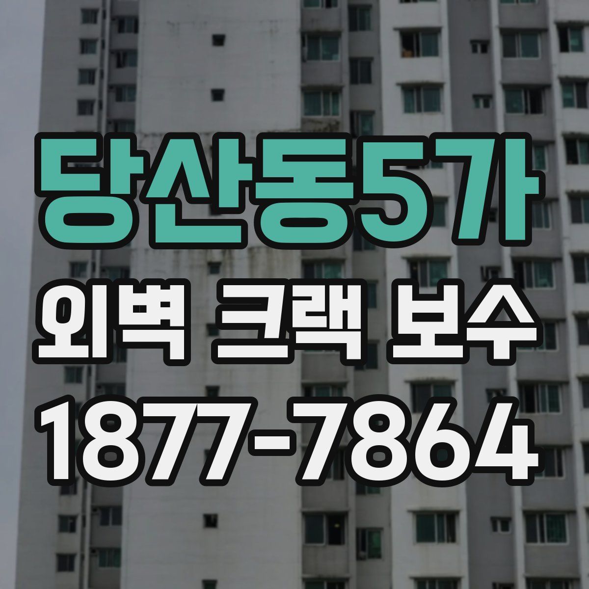 당산동5가 외벽 크랙 보수
