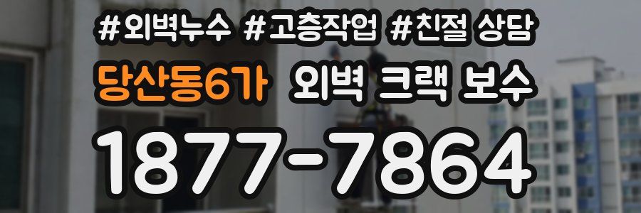 당산동6가 외벽 크랙 보수