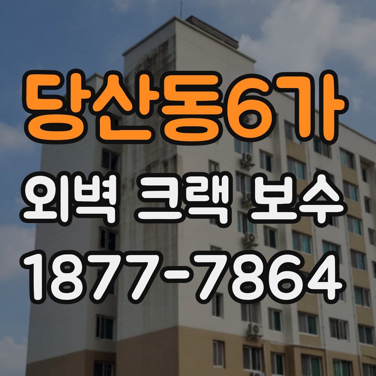 당산동6가 외벽 크랙 보수