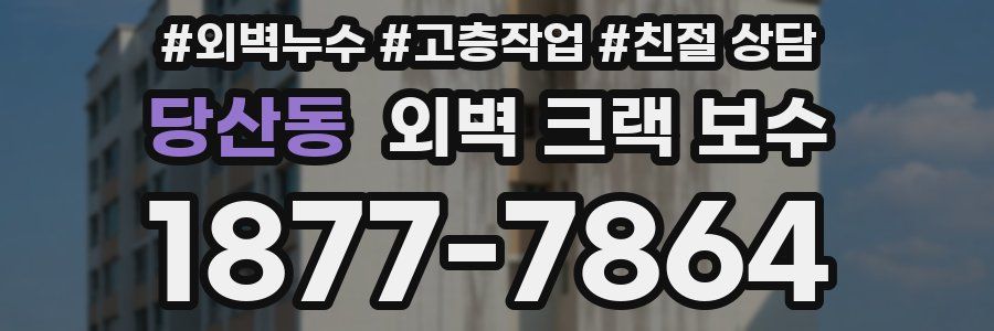 당산동 외벽 크랙 보수