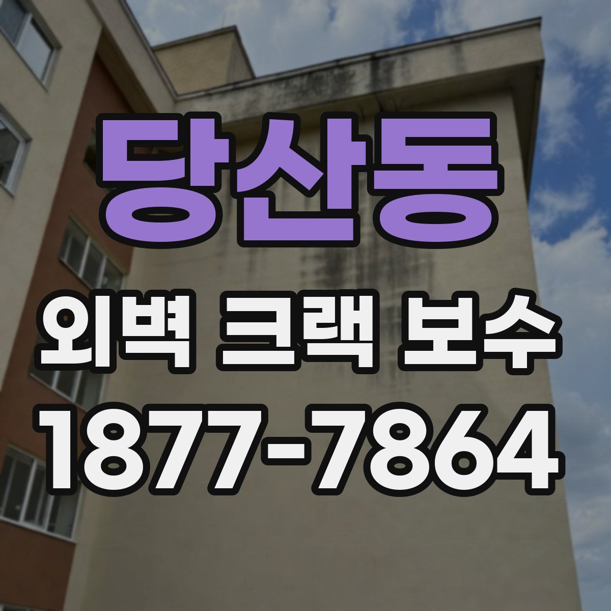 당산동 외벽 크랙 보수