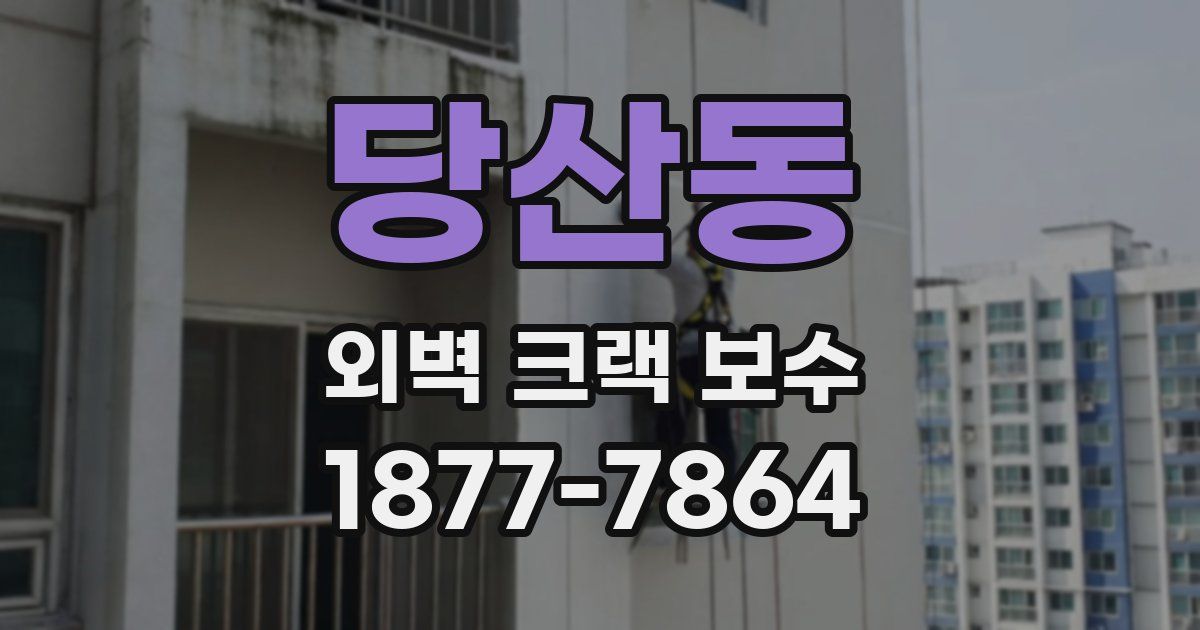 당산동 외벽 크랙 보수