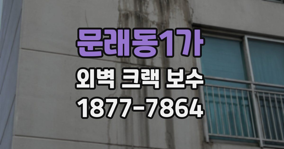 문래동1가 외벽 크랙 보수