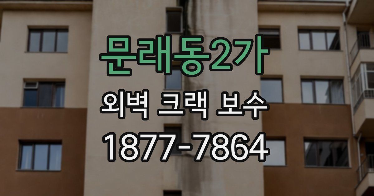 문래동2가 외벽 크랙 보수