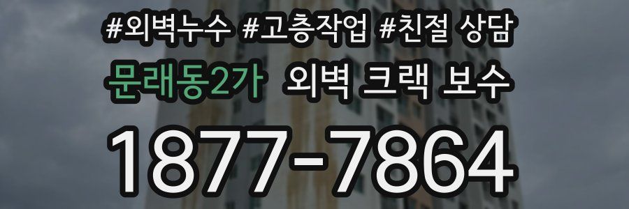 문래동2가 외벽 크랙 보수