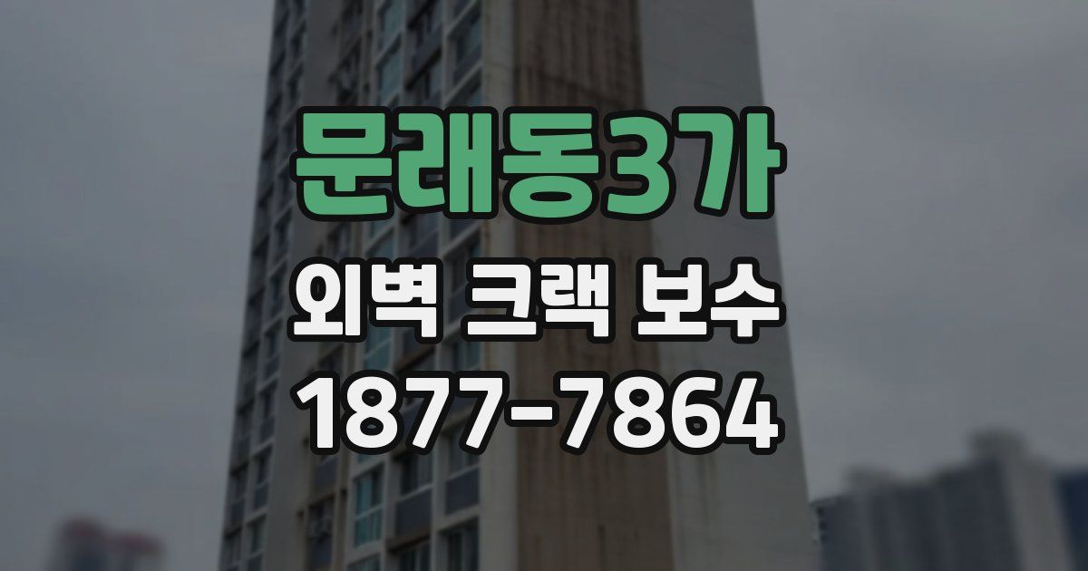 문래동3가 외벽 크랙 보수