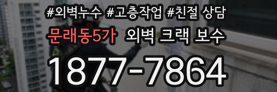 문래동5가 외벽 크랙 보수