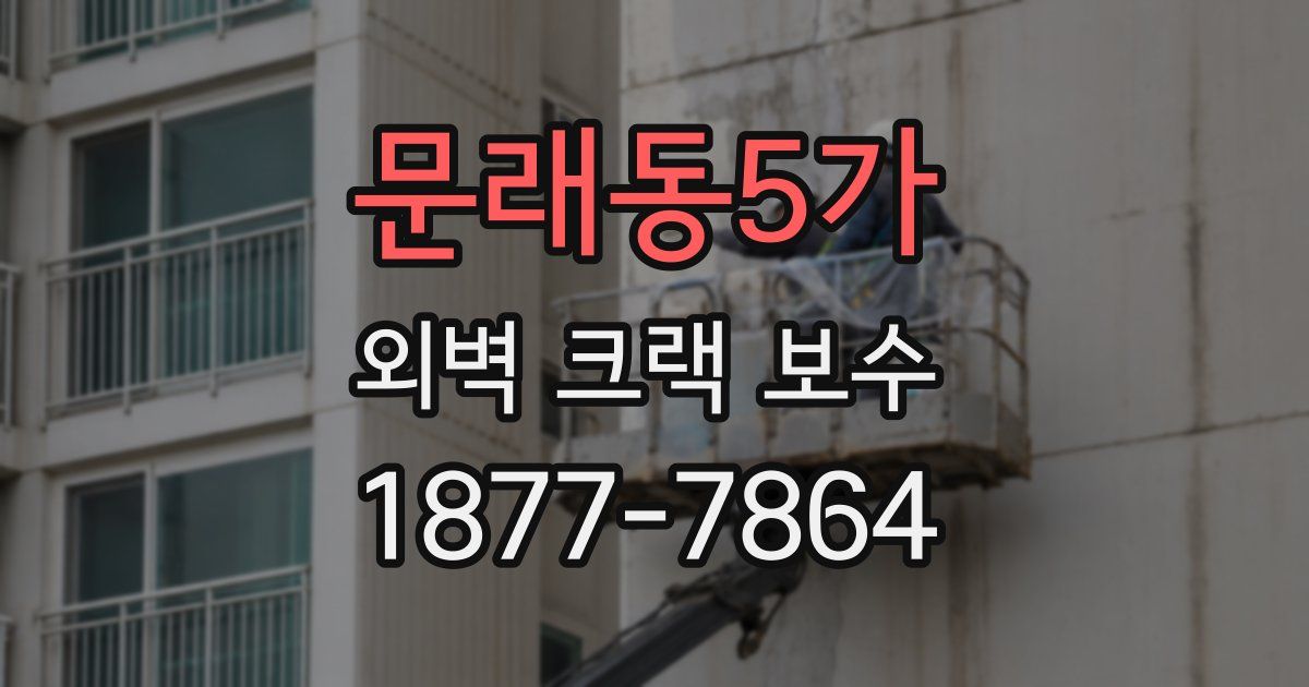 문래동5가 외벽 크랙 보수