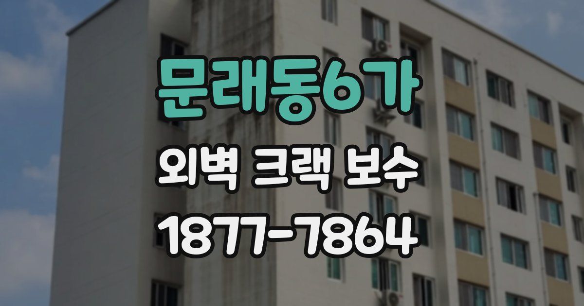문래동6가 외벽 크랙 보수