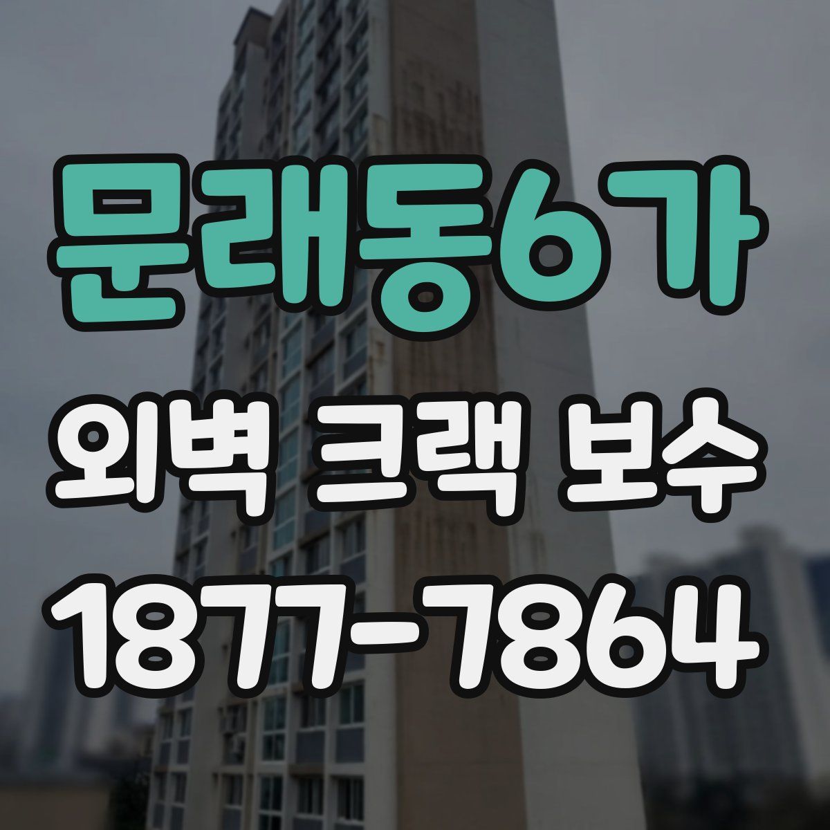 문래동6가 외벽 크랙 보수
