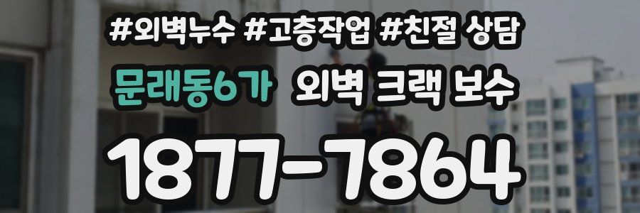 문래동6가 외벽 크랙 보수