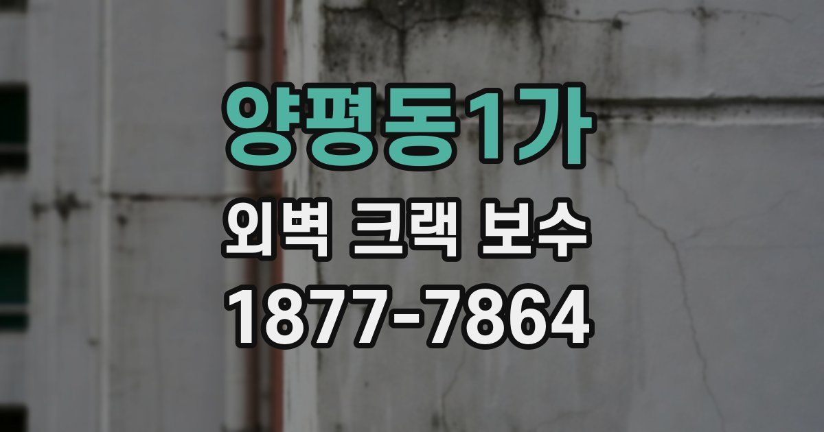 양평동1가 외벽 크랙 보수