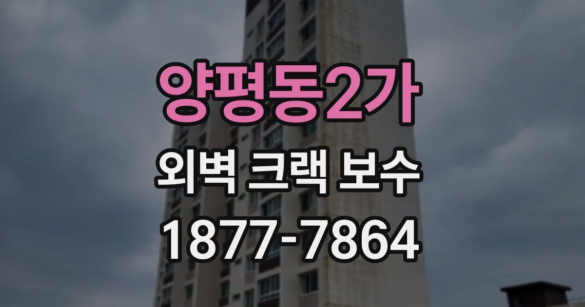 양평동2가 외벽 크랙 보수