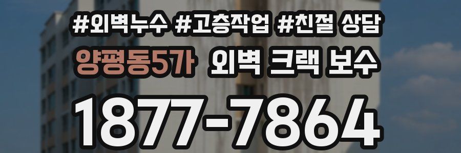 양평동5가 외벽 크랙 보수