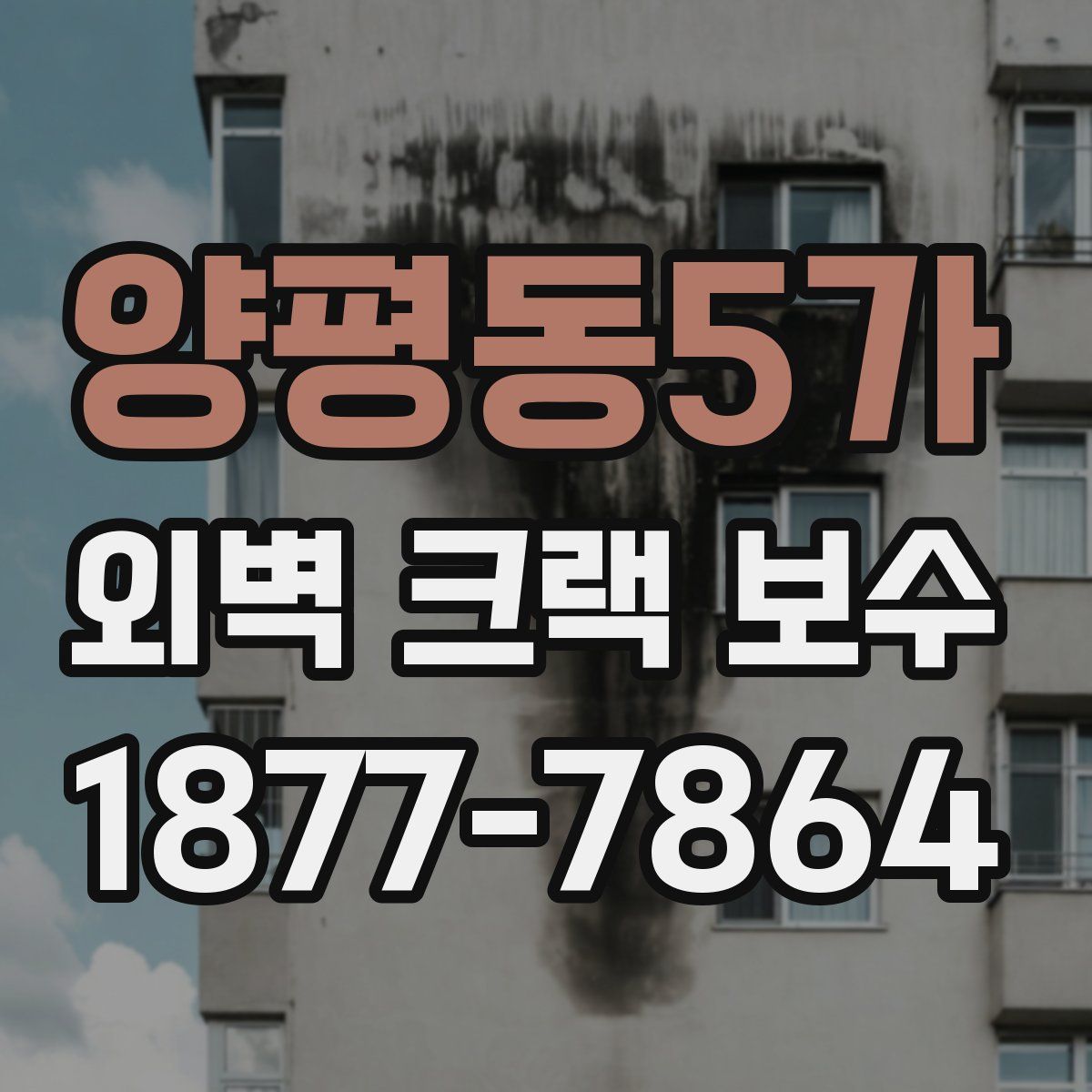 양평동5가 외벽 크랙 보수