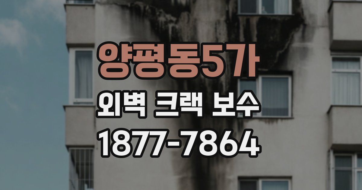 양평동5가 외벽 크랙 보수
