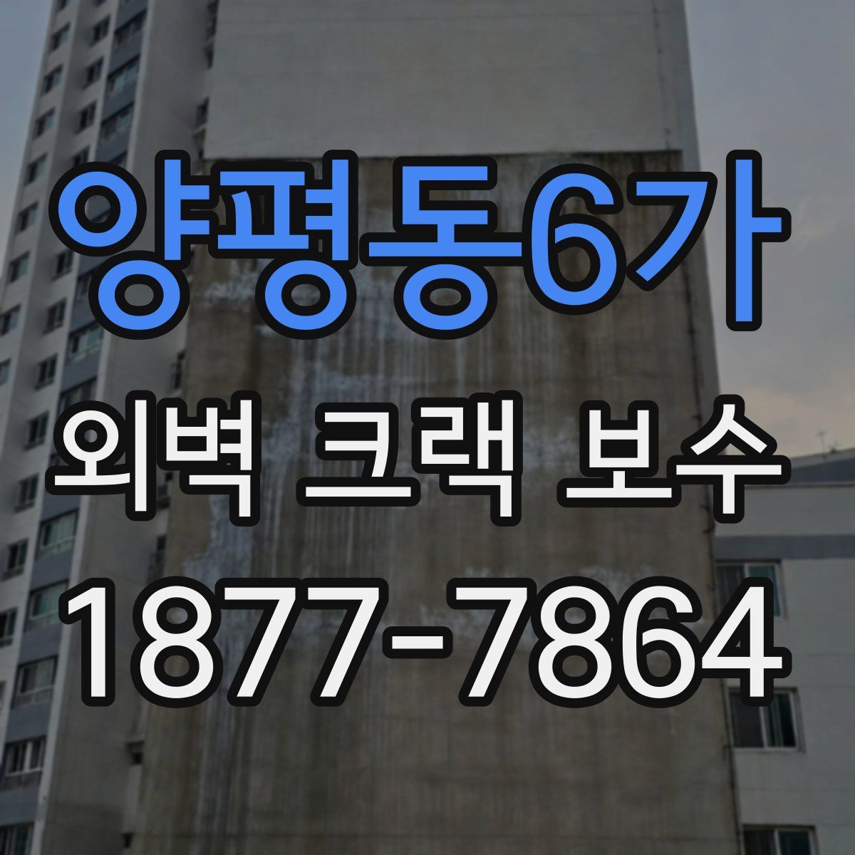양평동6가 외벽 크랙 보수