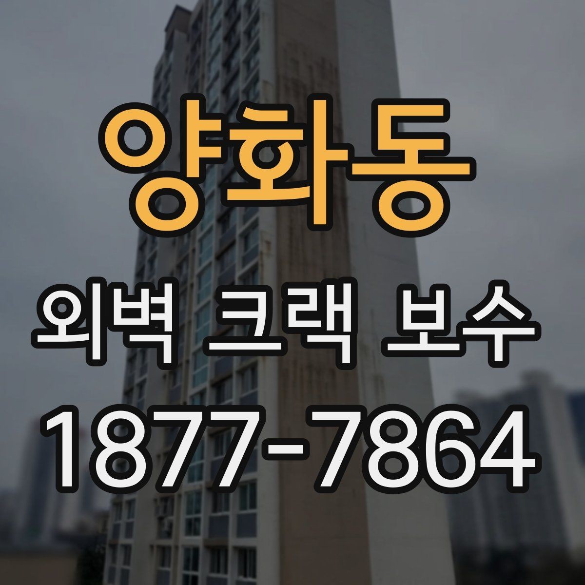 양화동 외벽 크랙 보수 전 전문가 진단이 필요한 경우